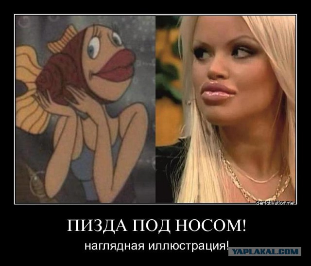 Выращиваем бороду в комнатных условиях