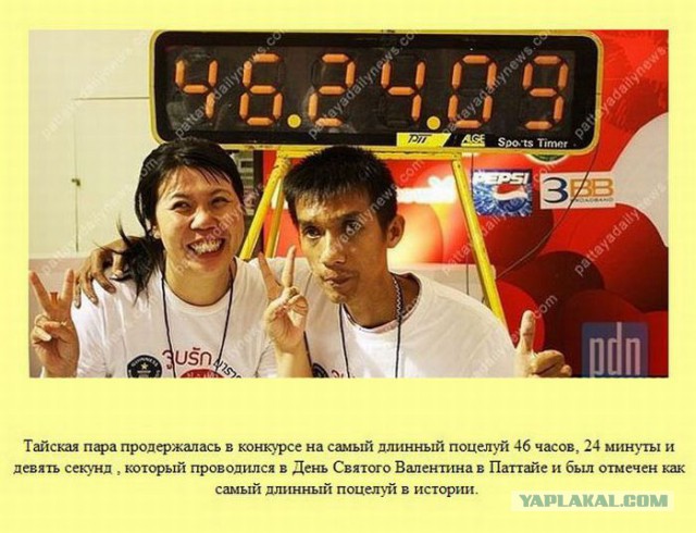 20 фактов обо всем
