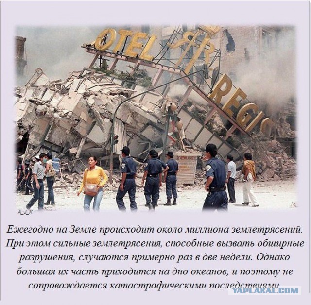 20 фактов обо всем