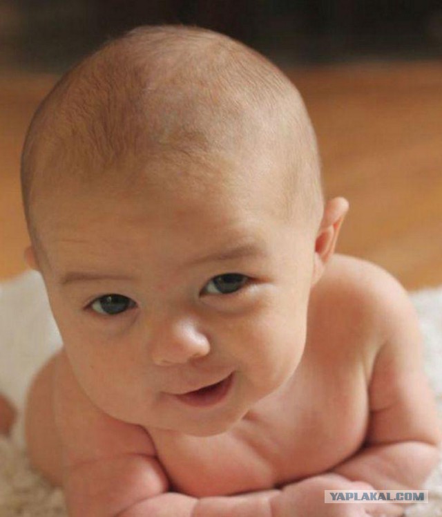 Милость этих фото зашкаливает