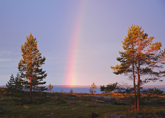 Деревенская Америка