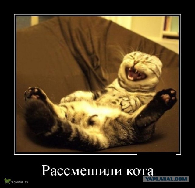 Бывшая