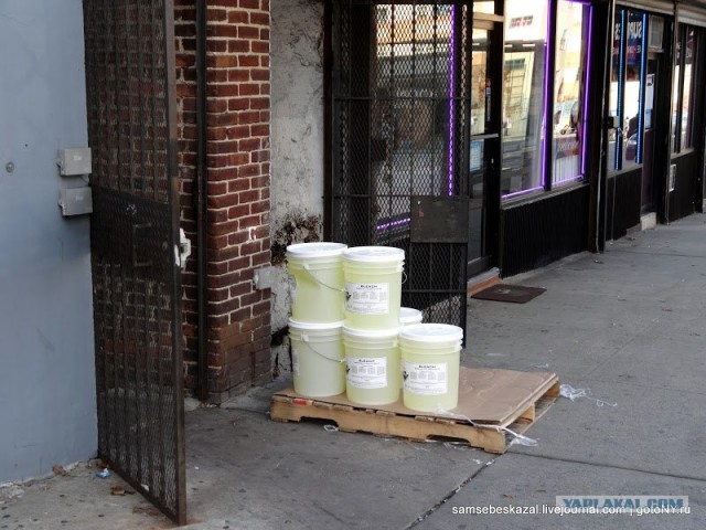 Фотоподборка с улиц Нью-Йорка