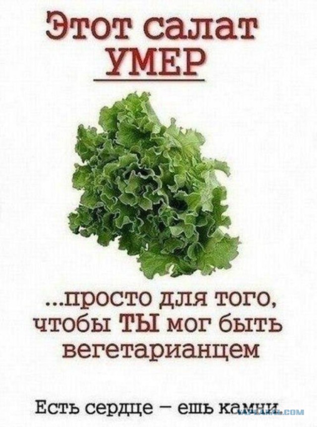 Почему на Руси не дарили сорванных цветов?