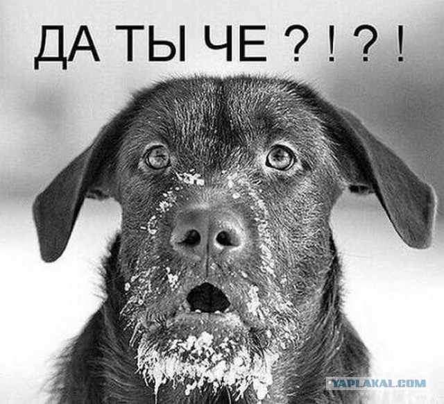 В Польше захватили здание НАТО