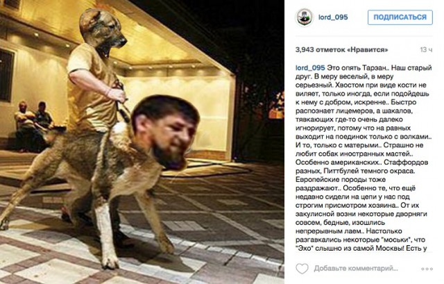 «Если бы не демократия»: моськи и овчарки Кадырова