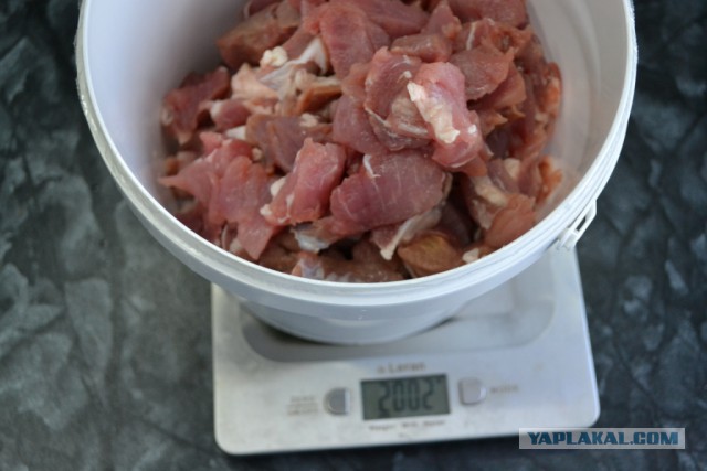 Ветчина, работа над ошибками