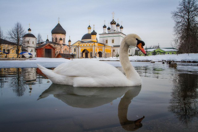 Подборка картинок 29.02.16