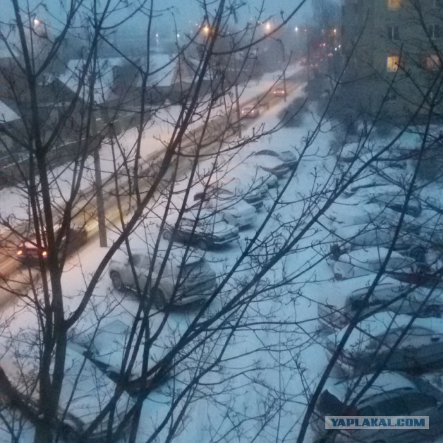 С первым днем весны из Симферополя!
