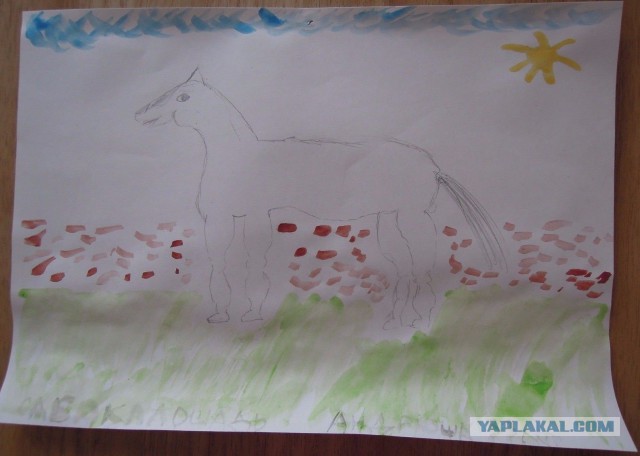 Самые странные вещи, когда-либо проданные на eBay