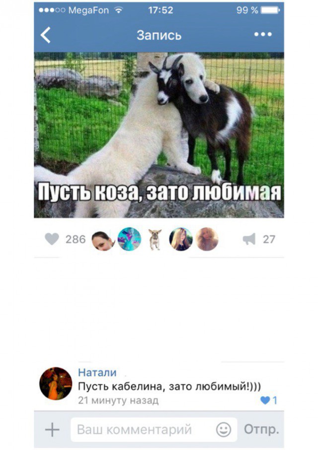Ужасы и приколы из соцсетей 18+