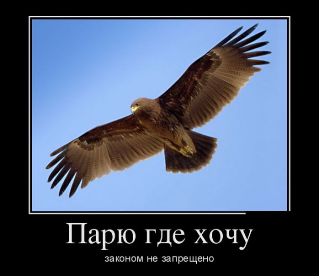 Разные картинки из сети