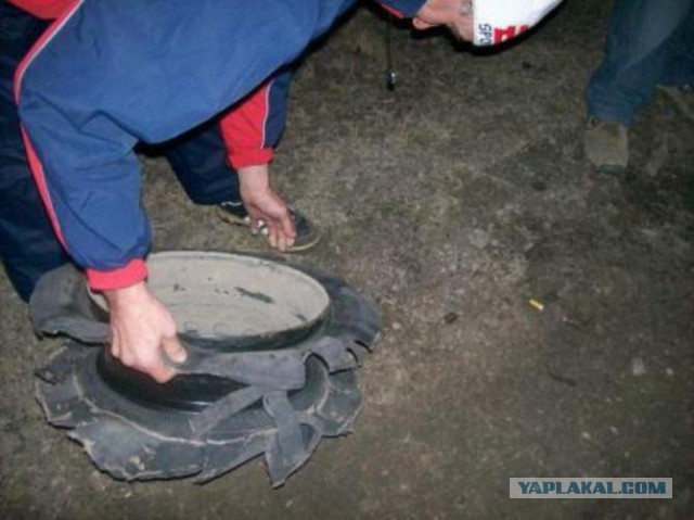 Премия дарвина...