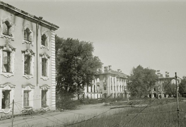 Петергоф, лето 1942 г.