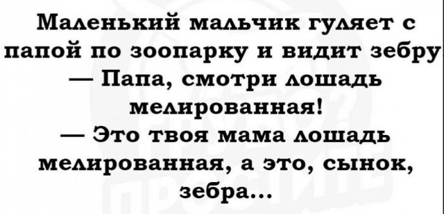 Всячина. Картинки и тексты картинками