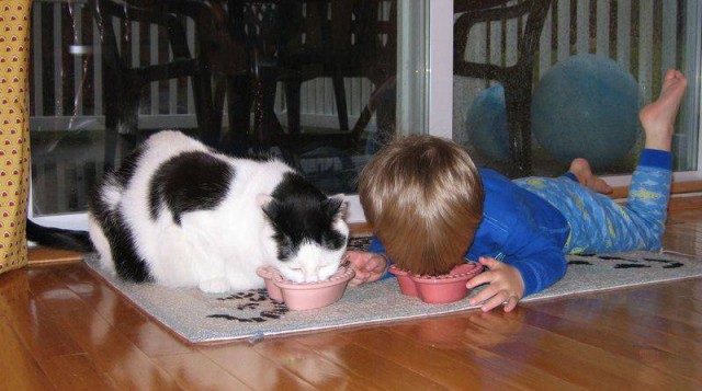 Ребёнок подозрительно затих - это сигнал!