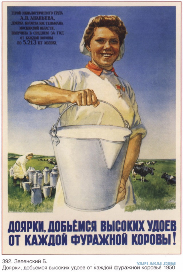 Не сиськи красят девушку, а нет, сиськи, всё правильно.