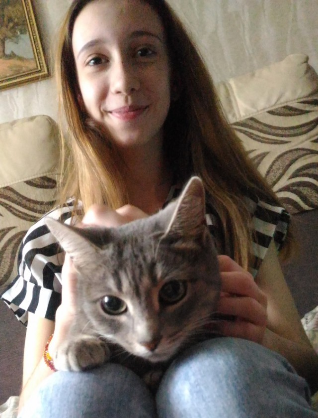 Котовторник 28.11.2017