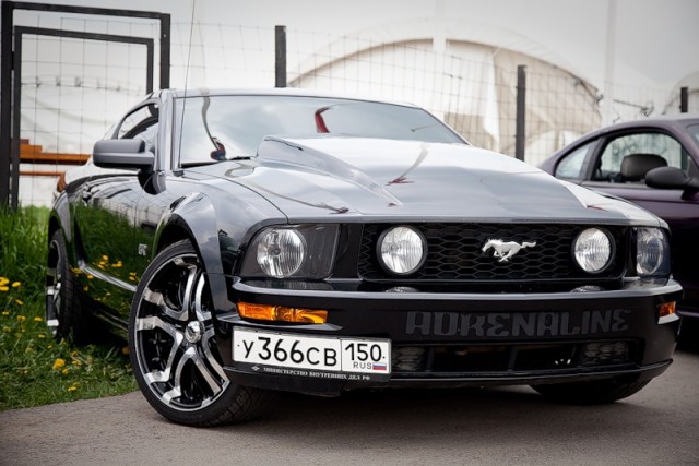 ДР mustang club