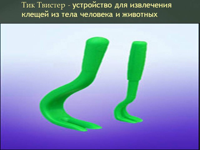 О клещах и беспечности