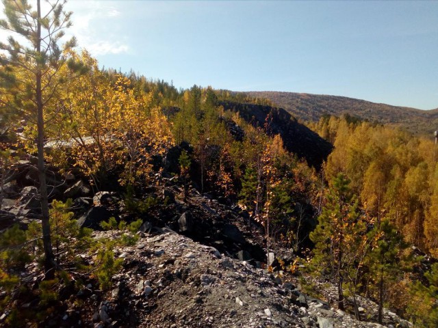Осенняя тайга
