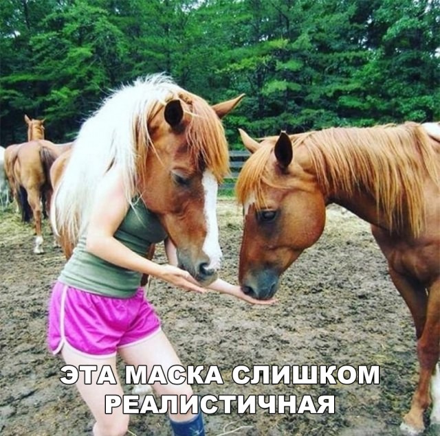 Нестандартный юмор