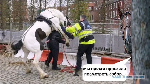 Немного картинок для настроения