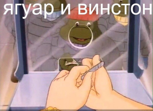 Куда катится жизнь