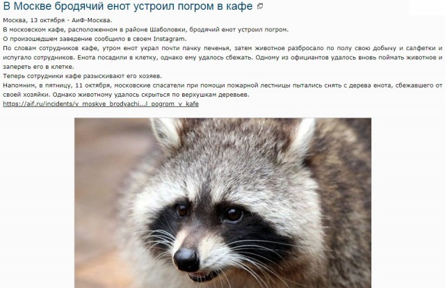 Женщины обесценили сами себя