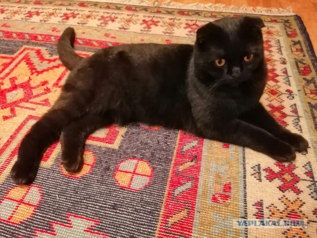 Paзнoвиднocти тьмы