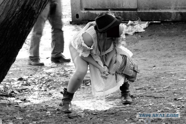 Туалеты мира