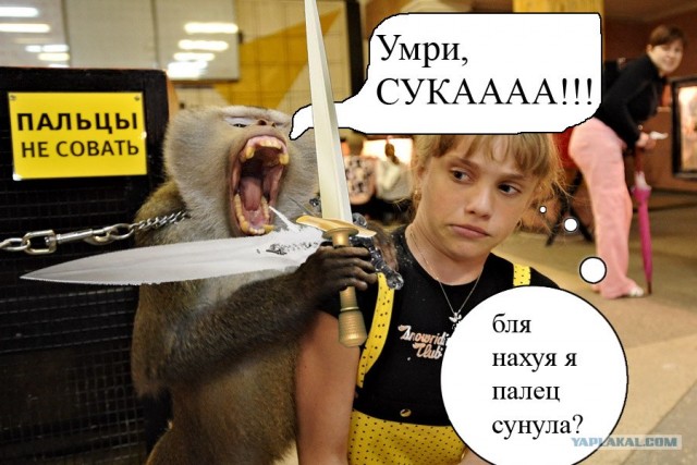 Фотожаба: Не совать!