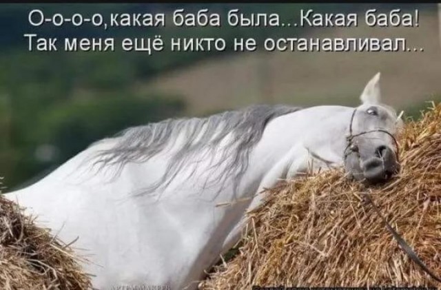 Юмор в картинках 14.09.20