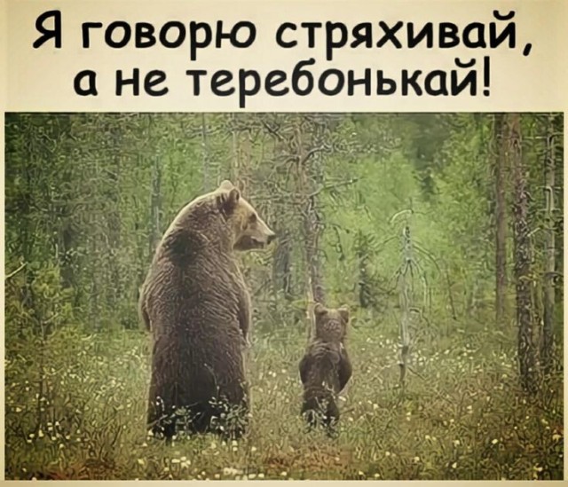 Боянистые картинки 21.12.20