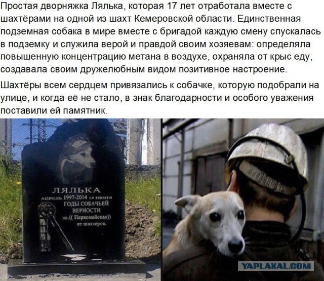 Картинки с надписями и всякие жизненные фразы 25.01.21