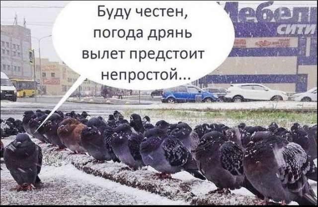 Своеобразное развлечение мужчин вызвало гнев зоозащитников.