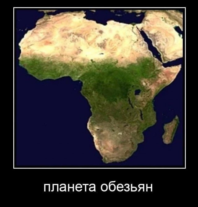 Аморальная деградация