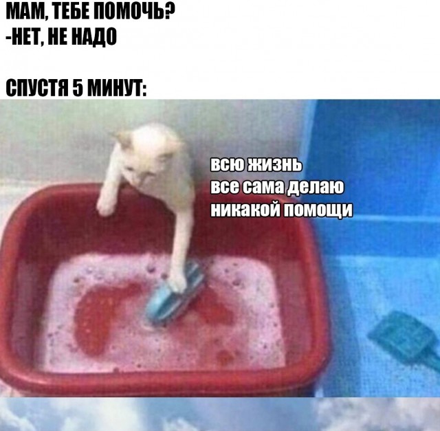 Кретинизмы из сети 20.07.21