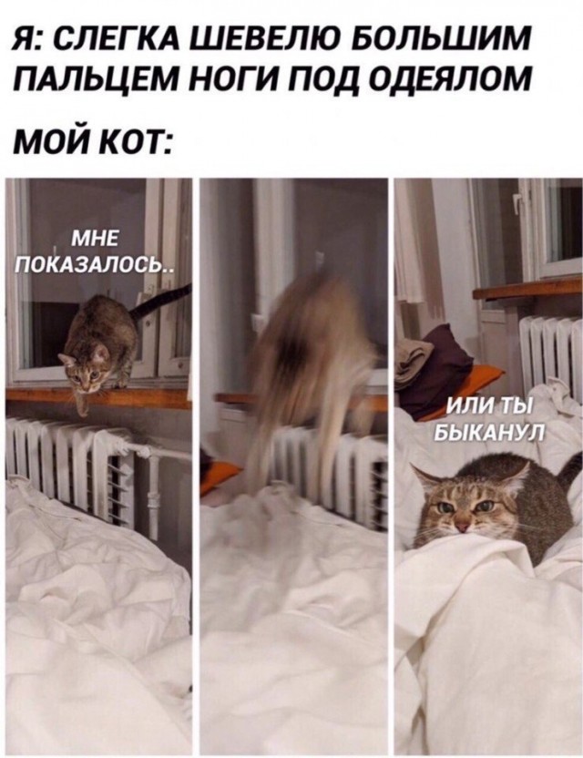Так себе картинки 24.09.21