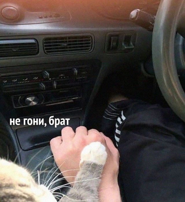 Картинки и мемы для настроения  -  9