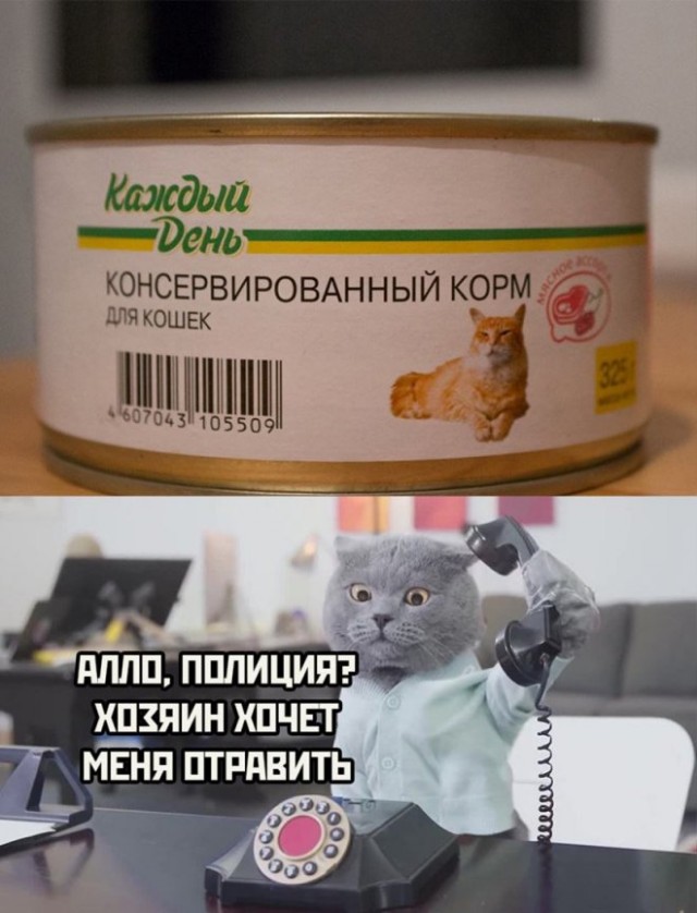 Картинки и мемы, всем отличных выходных