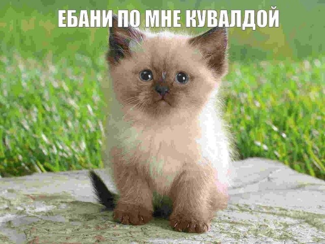 А что, уже вторник?