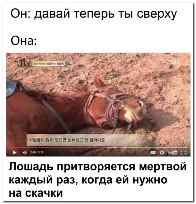 Немного картинок для настроения - 125