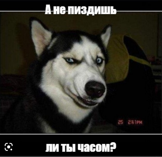 А кто не пьёт? Назови! Нет, я жду!