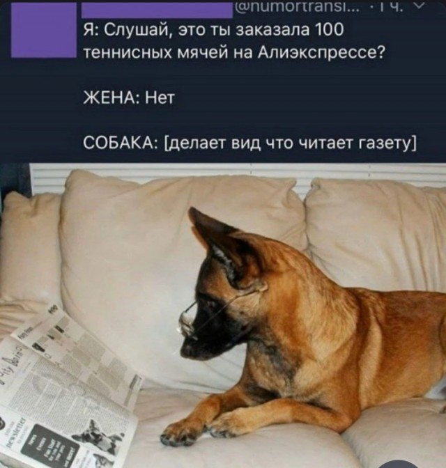 Картинки и мемы, всем хороших выходных