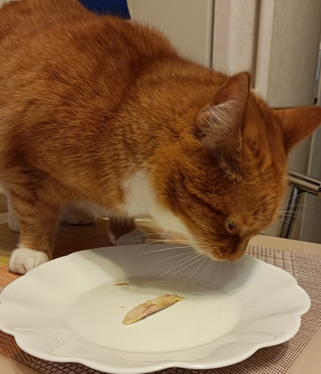 Оглашение приговора