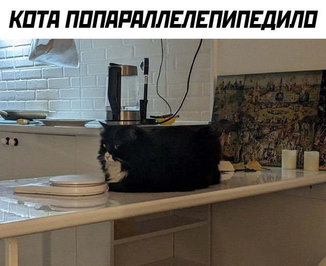 Всякой Хни вам в ленту, дорогие деграданты