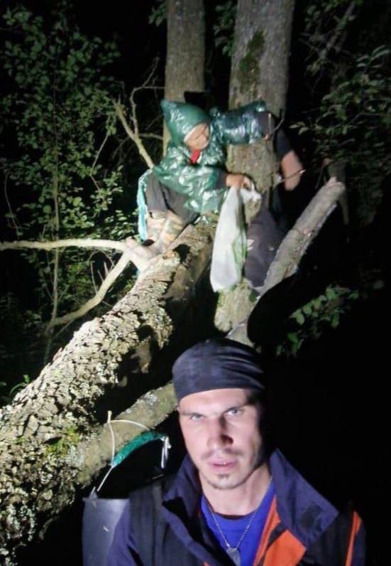 В Подмосковье 82-летняя пенсионерка ушла в лес за грибами, заблудилась и привязала себя к дереву