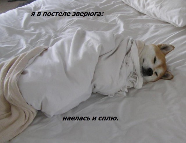 Хочешь узнать, как женщина занимается сексом? Посмотри на то, как она ест