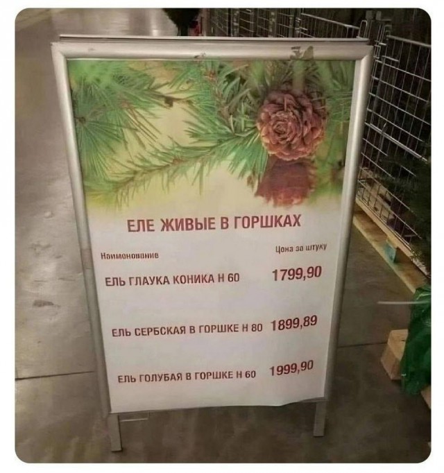 Нуштош 29.12.2023